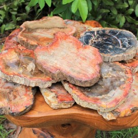 500-700g Natural Polished Rough Stones fossil Wood Slab Specimen Petrified Wood Slice for DecorationColor: 500-700g Petrified Wood Slice, Size: 500-700g
