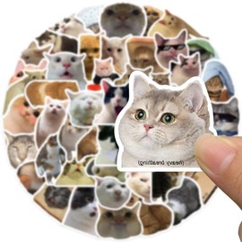 AUCEKO Pack of 50 Meme Cat Stickers Pack Cat Sticker Set Waterproof Vinyl Sticker for Laptop Children Cars Motorcycle Bicycle Skateboard Luggage Suitcase Computer Sticker Graffiti Decal