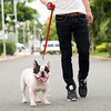 Dog/Puppy Obedience Recall Training Agility Lead Leash - Perfect for