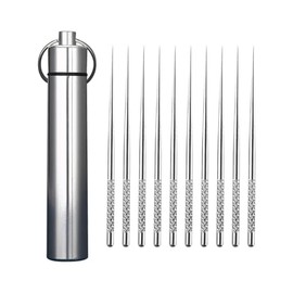 ccHuDE Mini Stainless Steel Toothpick Holder Portable Pocket Toothpick Container Travel Toothpick Carrying Case with 10 Pcs Toothpicks for Outdoor