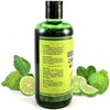 high supreme Organic Bergamot Shampoo - Aloe Vera & Rosemary