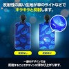 Hawkeye Pass Reflecting Light Pass Case with Expandable Reel Design,