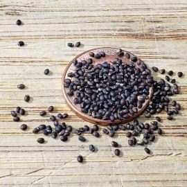 Mai's Family Catnip Seeds 1000+ Herb Perrenial Garden NON-GMO USA FREE SHIPPING - 1000+ Seeds