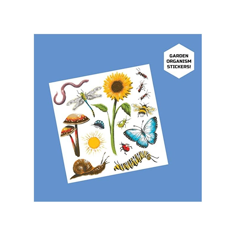 Discovery Mindblown Terrarium Grow Kit