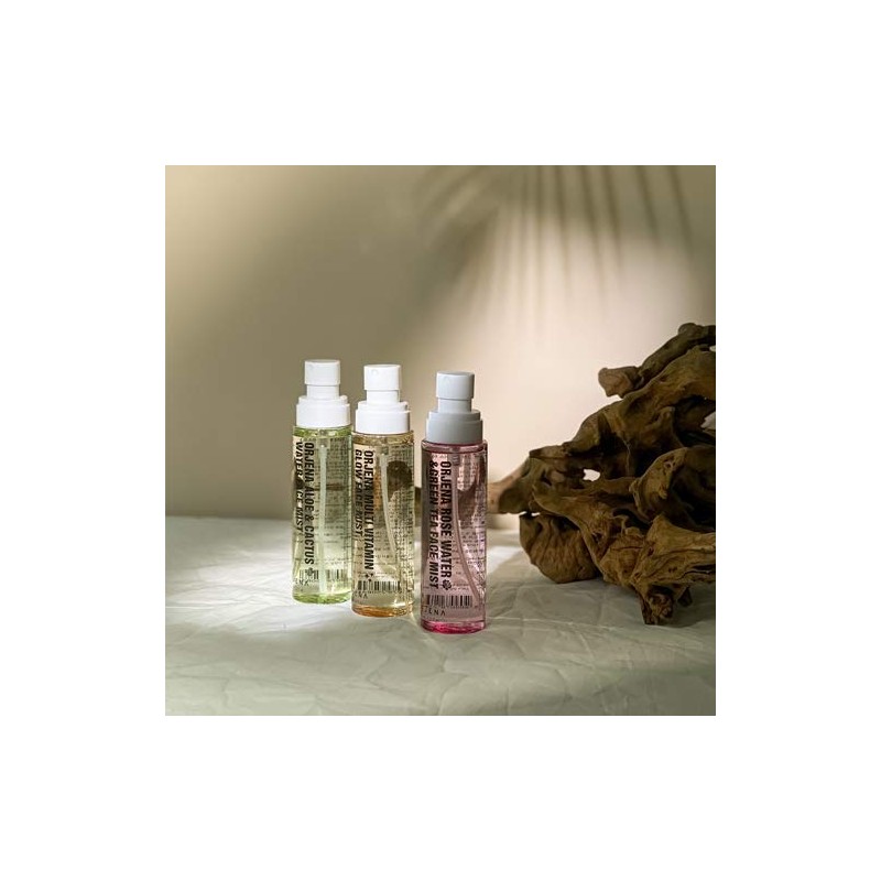 ORJENA ALOE CACTUS FACE MIST FACE MIST