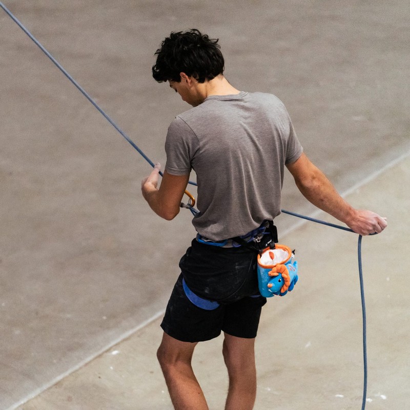 Chalkbag dinosaur for rock climbing