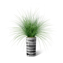 Artificial Tree in Black and White Vertical Stripe Planter, Fake Onion Grass Silk Tree for Indoor and Outdoor Home Decoration - 55" Overall Tall (Plant Pot Plus Tree)