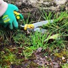 GRÜNTEK Icebird Grass Shears – Premium Lawn Edge Scissors with