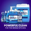 Dawn Professional Pot and Pan Detergent, Regular Scent, 3.8l (Case