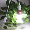 Rextin 4 pcs E26/E27 LED Light socket 5.9FT extension cord