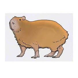 'Capybara' Temporary Tattoo - Water Resistant, Skin-Safe, Non-Toxic Transfer (TO00040728)