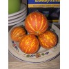 Unbranded PLUM GRANNY Melon-HEIRLOOM