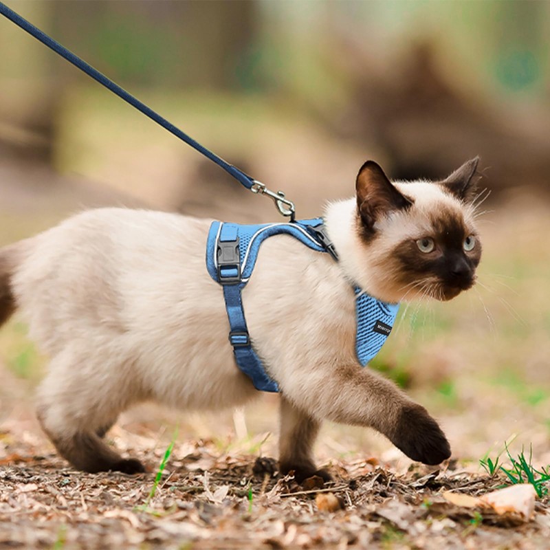 Cat Harness, Cat Harness and Leash for Walking, Escape Proof