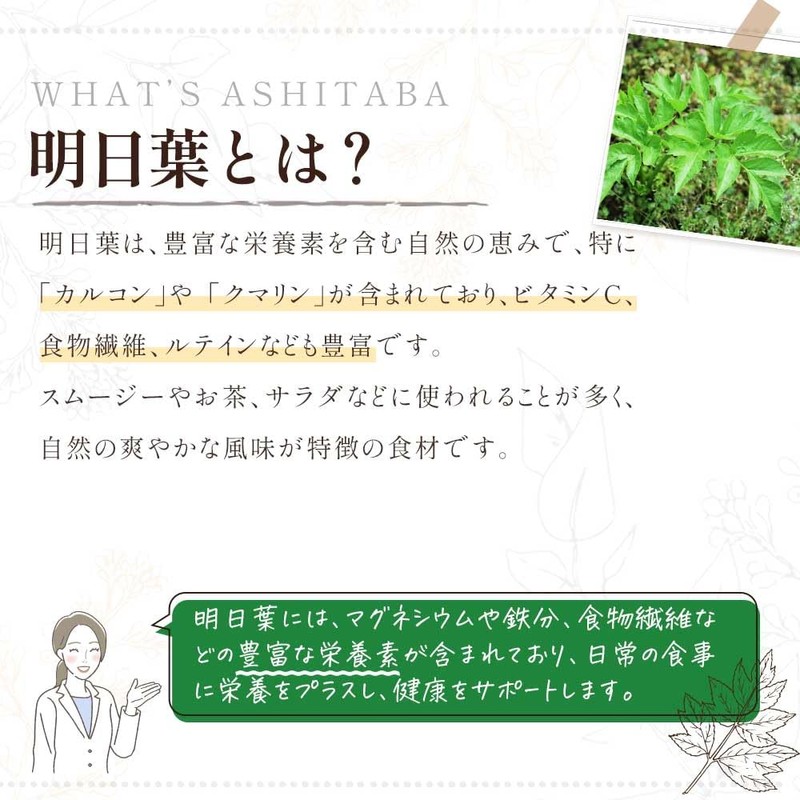 Grace of Nature 有機 明日葉 粉末 国産 九州産 オーガニック パウダー