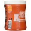 Gatorade Powder, Orange, 18.3-ounce Canister (1 Canister)