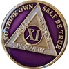 11 Year AA Medallion Metallic Purple Tri-Plate Sobriety Chip Serenity
