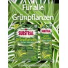 Substral Substral Dünger-Stäbchen für Grünpflanzen mit Eisen-Plus und 2 Monate