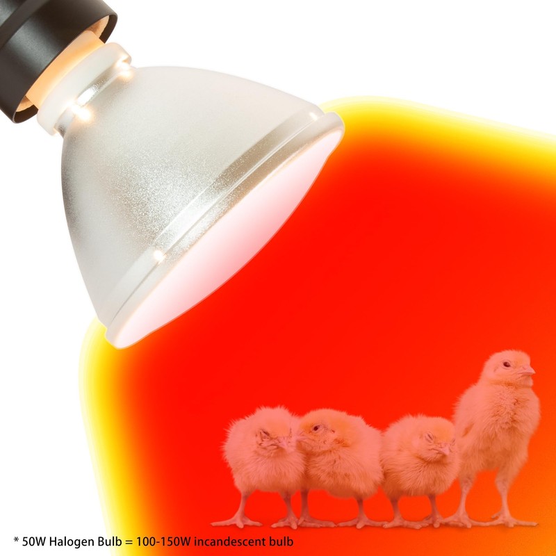 Heat Lamp for Chickens Coop Chick Brooder, Infrared Flood Light