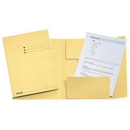 Esselte Leitz Three-Flap Folder A4 Manila Cardboard Yellow