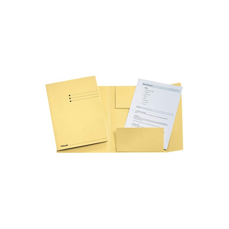 Esselte Leitz Three-Flap Folder A4 Manila Cardboard Yellow