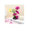 Home And Kitchen Product Mini Set 1in for daily use