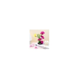 Home And Kitchen Product Mini Set 1in for daily use and gifting, practical imported Korean Home and Use, household cleaning and organization, Option 1
