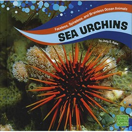 Sea Urchins