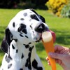 3 x powder for refilling ice lollies for dogs