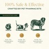 Breedwise Pet Provisions Dog Calming Treats, All Natural Holistic Dog