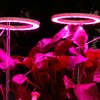 LED Plant Grow Lights Full Spectrum USB Growing Light Timing
