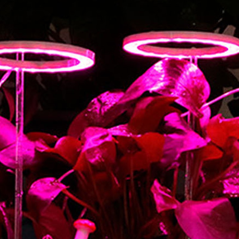 LED Plant Grow Lights Full Spectrum USB Growing Light Timing