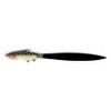 LX Hand Painted Lake Trout Fish Letter Opener
