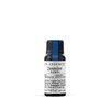 In Essence Jasmine in Jojoba 2.5% Pure Essential Oil 8ml