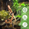 DBNESS Snake Climbing Rings, Ball Python Enclosure Enrichment Ring, Adjustable
