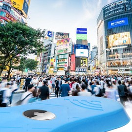 Airtag Holder Inserts for Kids and Old People, Airtag Case to Track Your Steps and Shoes (195-210mm)