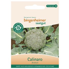 Broccoli Calinaro