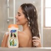 Savital Shampoo Elixir De Romero Biotina Y Sabila 510ml