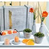 Viva Decor Trendy decoration concrete effect set