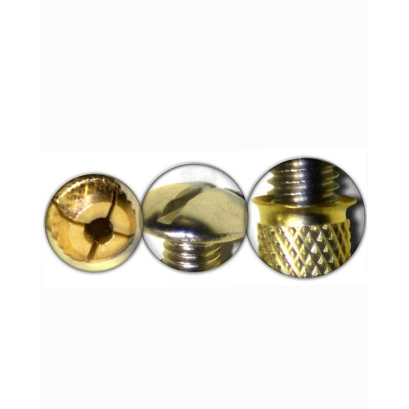BricoLoco.com BricoLoco Brass Pool Dowels, INOX A2 Screw, Anchor System