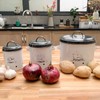 SOTECH Potato Onion Garlic Storage Bin with Lid Set of