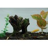 AQUA KT Aquarium Landscape Tree Stump Trunk Hollow Betta Cichlid