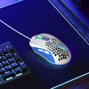 Wired Mouse Ergonomic RGB Backlit Adjustable DPI Programmable Keys 4.9ft