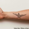 'Pigeon with Attitude' Temporary Tattoo - Water Resistant, Skin-Safe, Non-Toxic