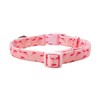 Olahibi Basic Dog Collar, Polyester Webbing Padded with Soft Neoprene,