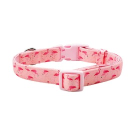 Olahibi Basic Dog Collar, Polyester Webbing Padded with Soft Neoprene, Flamingo Pattern, for Medium Dogs.(M, Pink Flamingo)