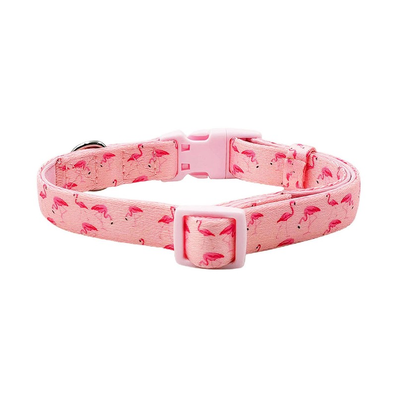 Olahibi Basic Dog Collar, Polyester Webbing Padded with Soft Neoprene,