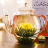 Creano Blooming Tea Gift Set with Glass Pot 17oz/500ml with