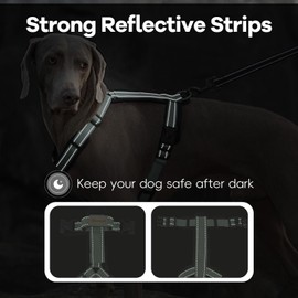 Abuandi Dog Harness with Security Lock Buckle for Small Medium Large Dogs, Adjustable Dog Cooling Vest, Reflective No Pull No Choke Harness for Trail Running, Walking, Hiking, Camping