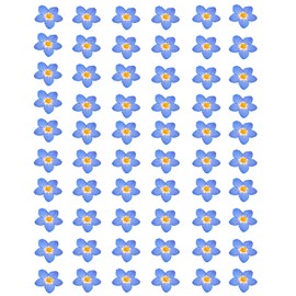 60 Pieces Don't Forget Me Dried Flowers, Dried Flower Real Dried Pressed Flowers for Jewelry Candle Card Making DIY Resin Ornaments Nail Art Flowers Decorations (Don't Forget Me)