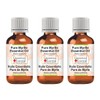 Greenwood Essential Pure Myrtle Essential Oil (Myrtus Communis) Natural Therapeutic